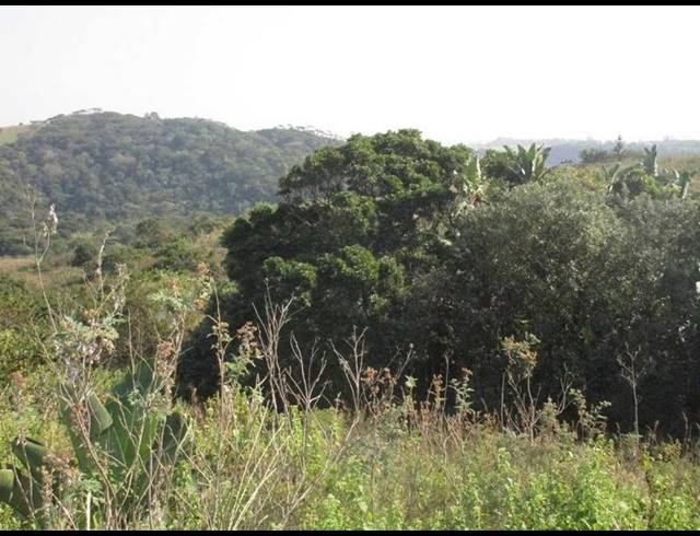 LAND FOR SALE IN OSLO BEACH